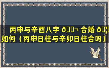 丙申与辛酉八字 🐬 合婚 🦊 如何（丙申日柱与辛卯日柱合吗）